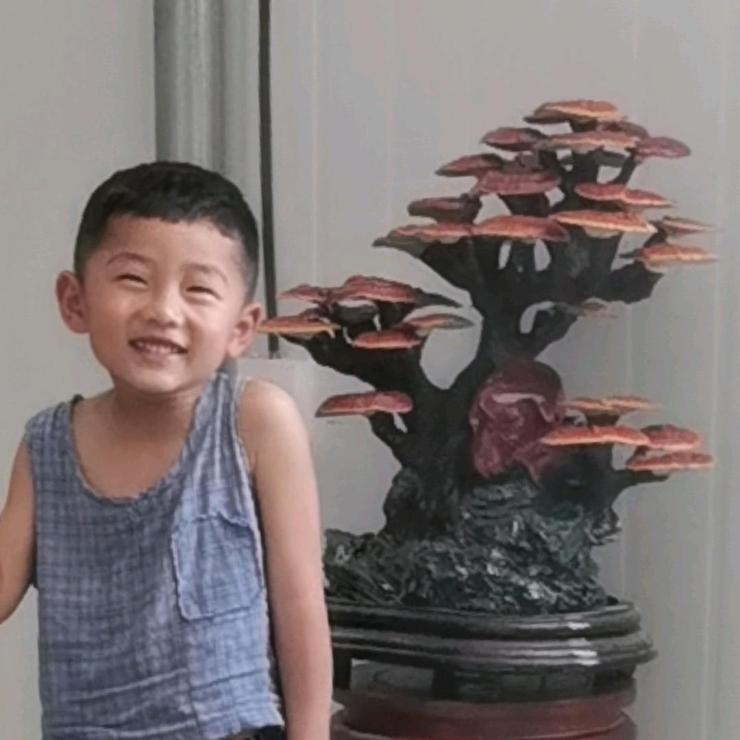 艺术灵芝，宗师的作品1386358526