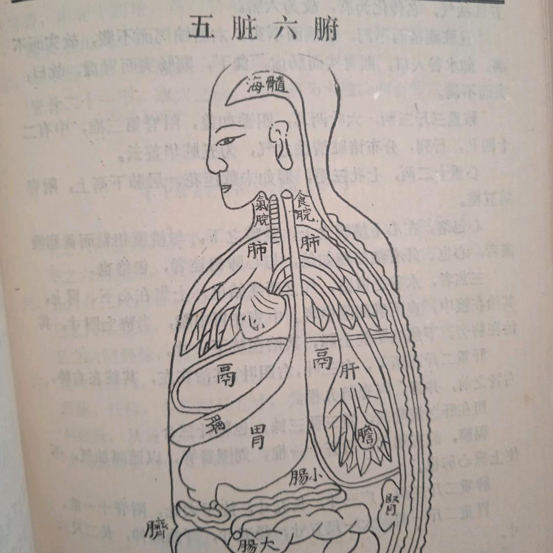 中医针久尚联结