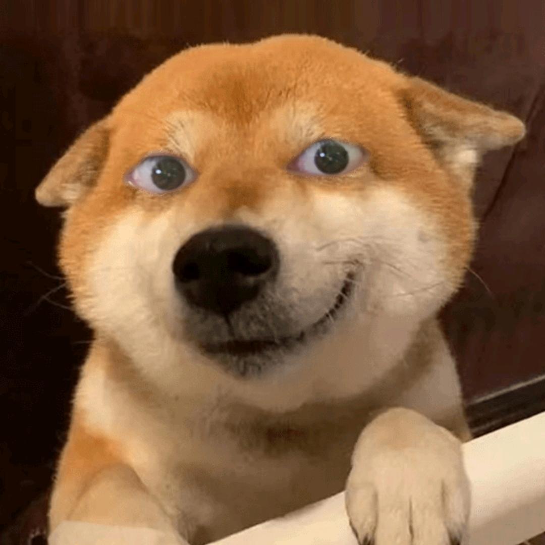 逍遥(三角洲行动)