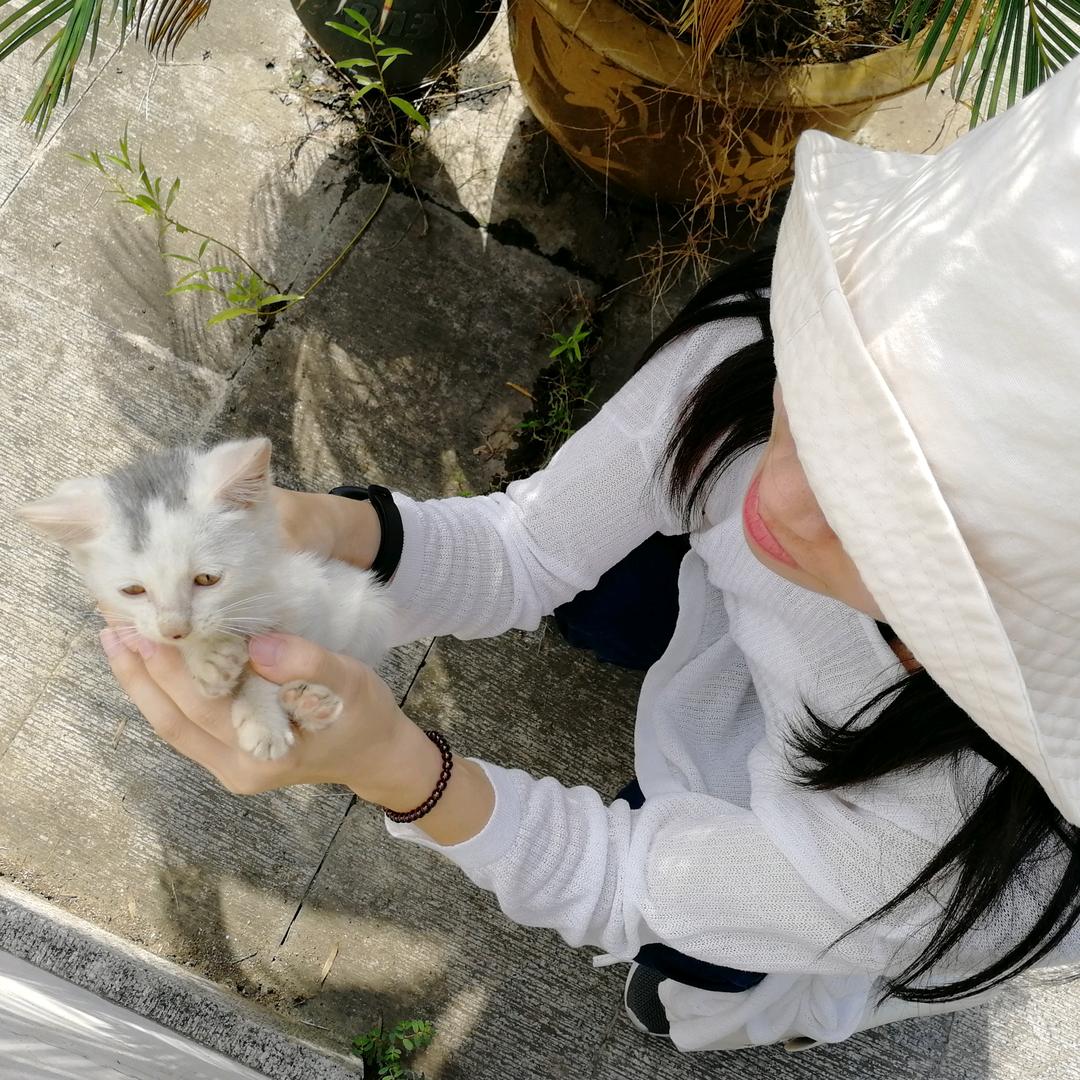 搞笑的射手喵子