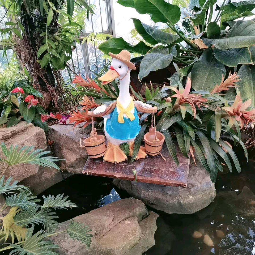 万古青天一只莲