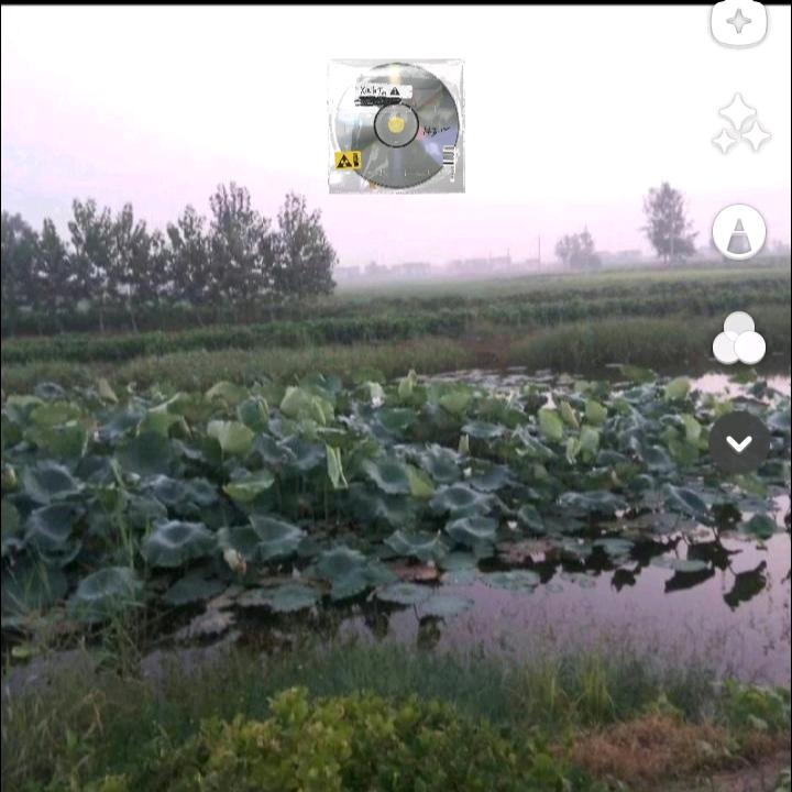 赵军年