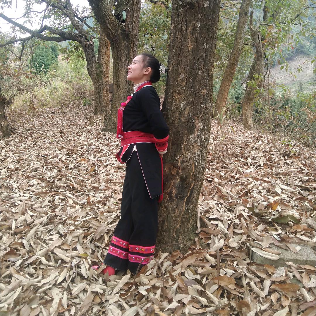 专注单招、对口集训老师