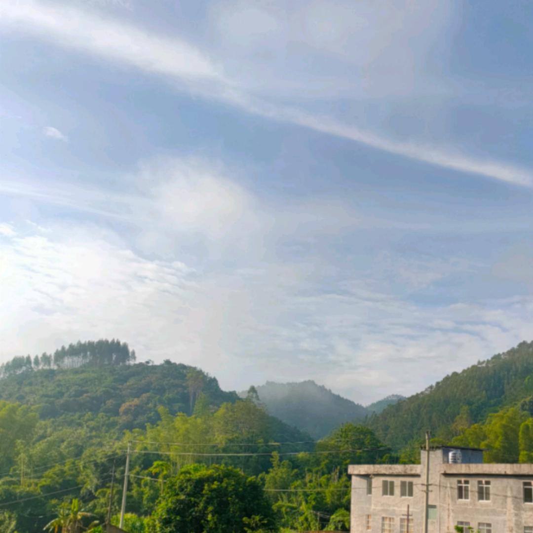 千年老狐狸