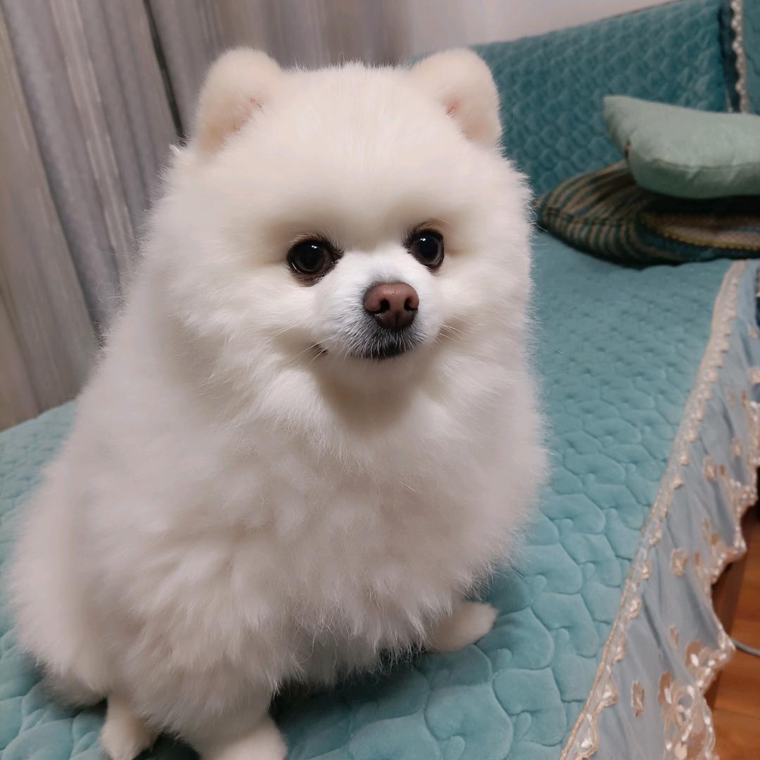 黎秀