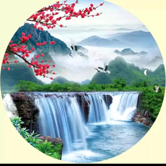 毛兴