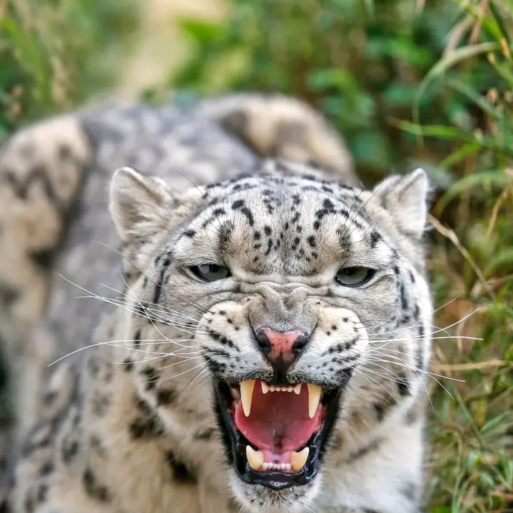 一切都好！！！！开开心心