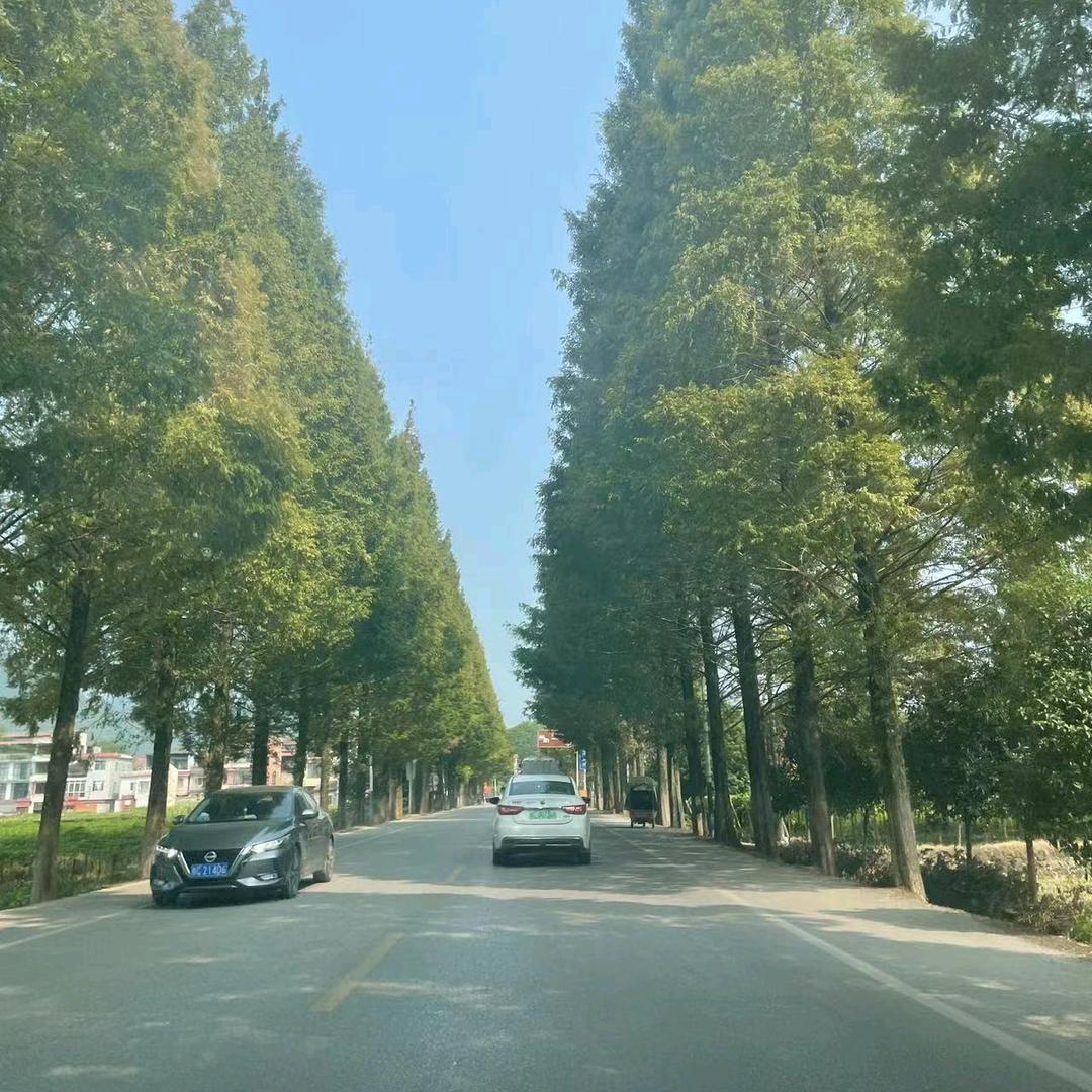 顺宏钢构