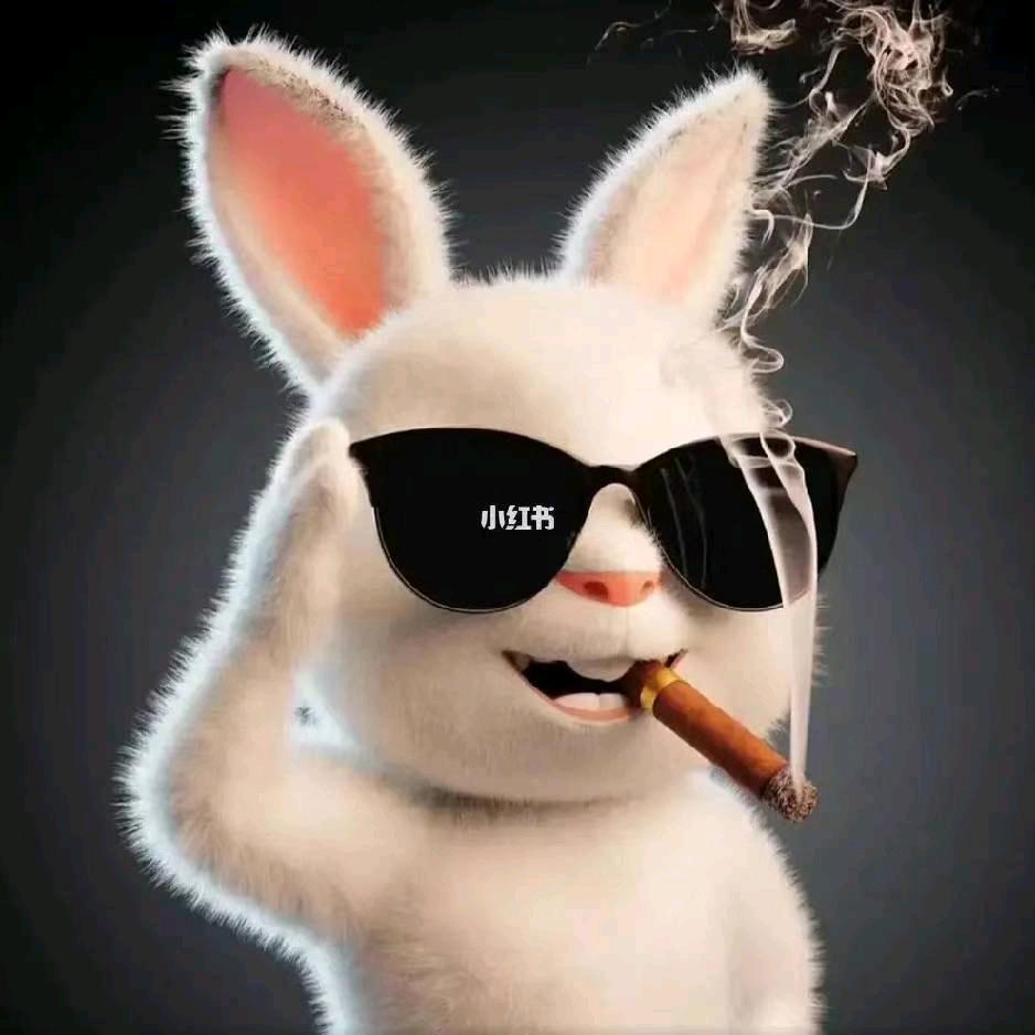 小兔子嗨嗨