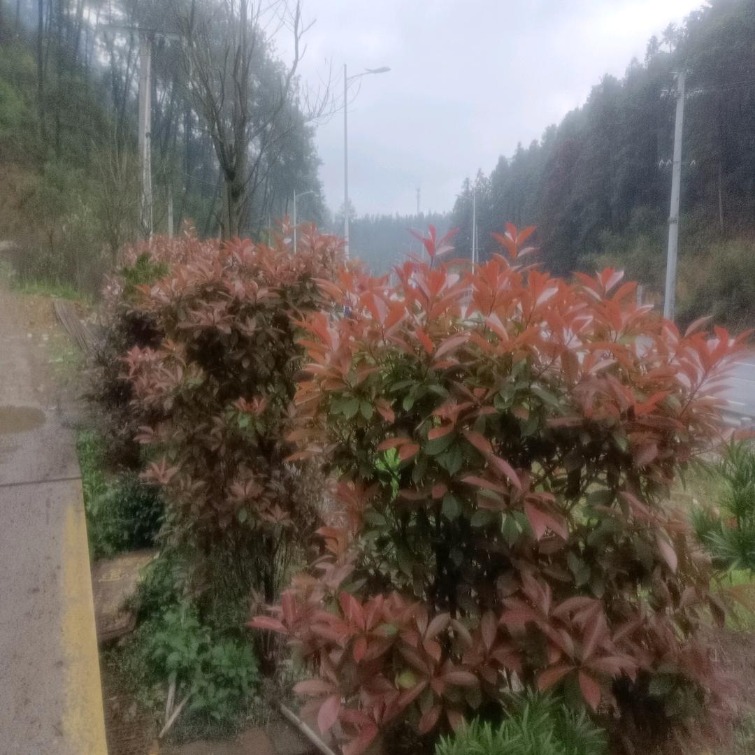 过好每一天
