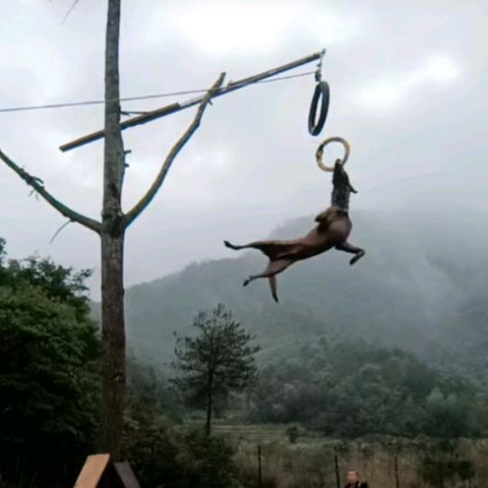 南方飞飞