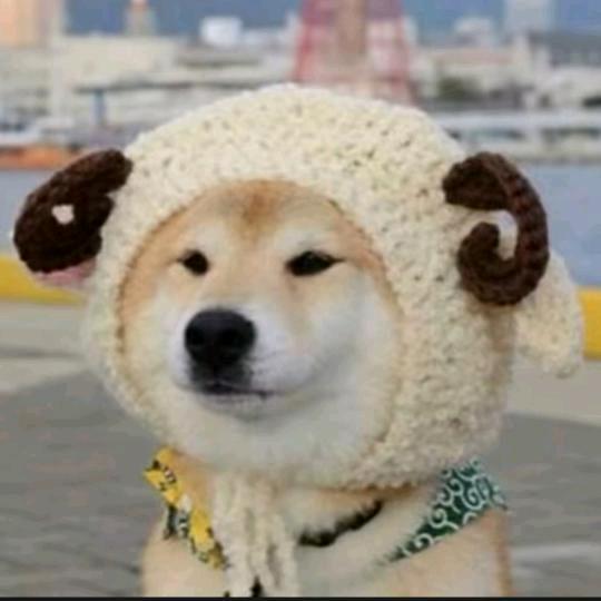 向往未来2