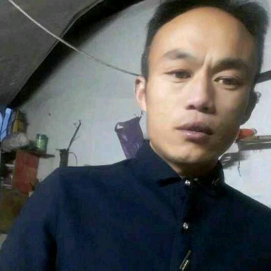 纹龙