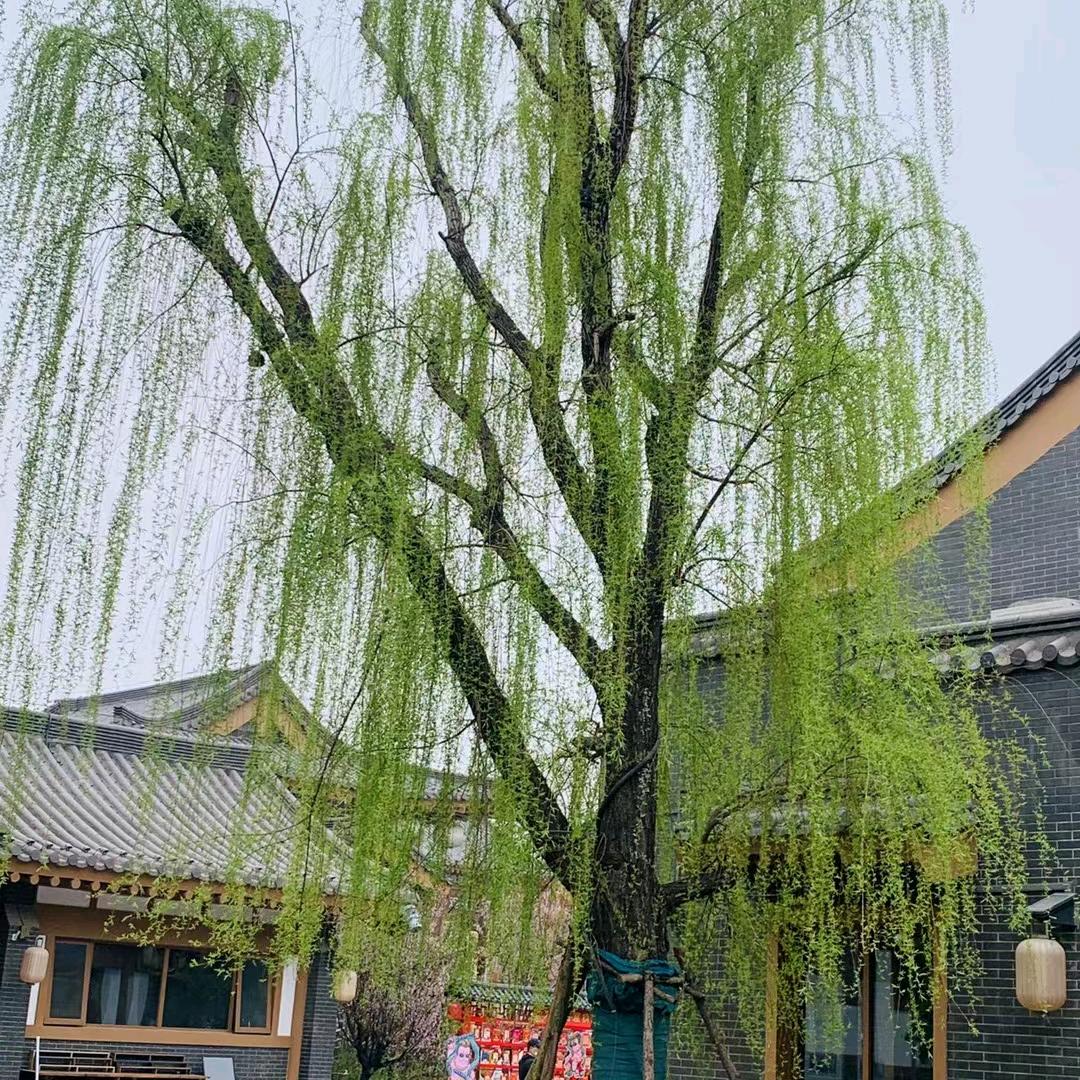 忘记你