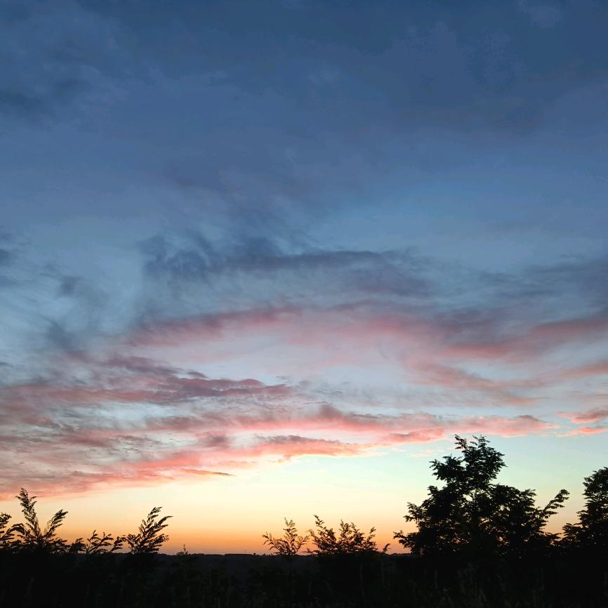 那个＾姑ω娘＾姓陈