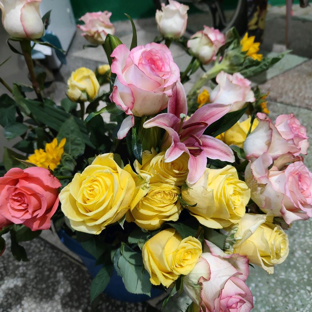 平平淡淡过余生