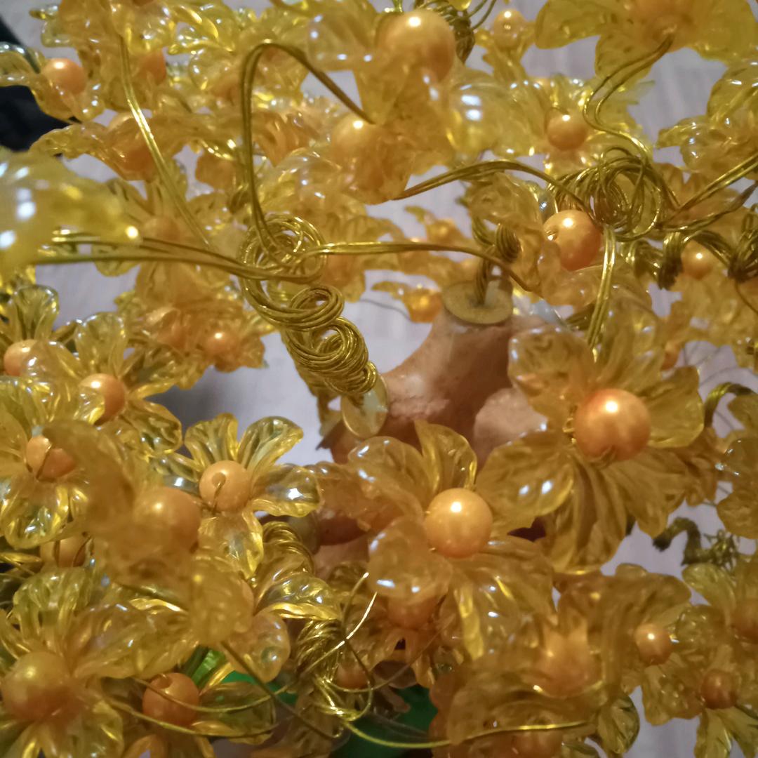 四季花开