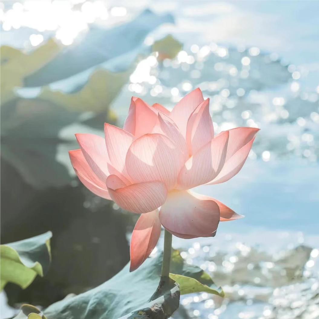 快乐家族的小可爱