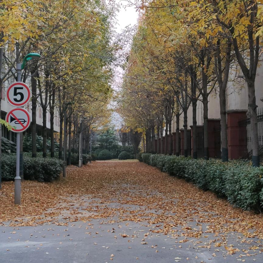 前人栽树后人乘凉