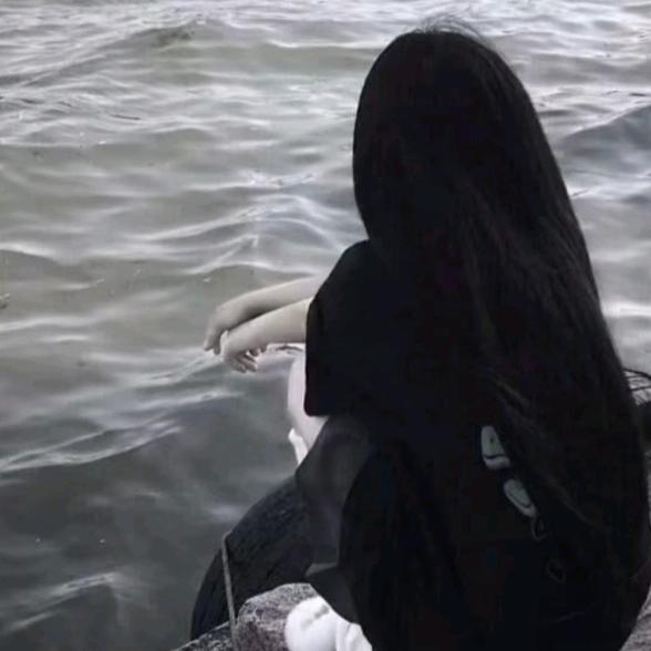 雨落心尘暗夜孤猫