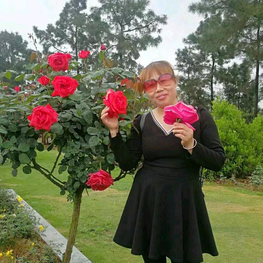 用户6621779322321水果