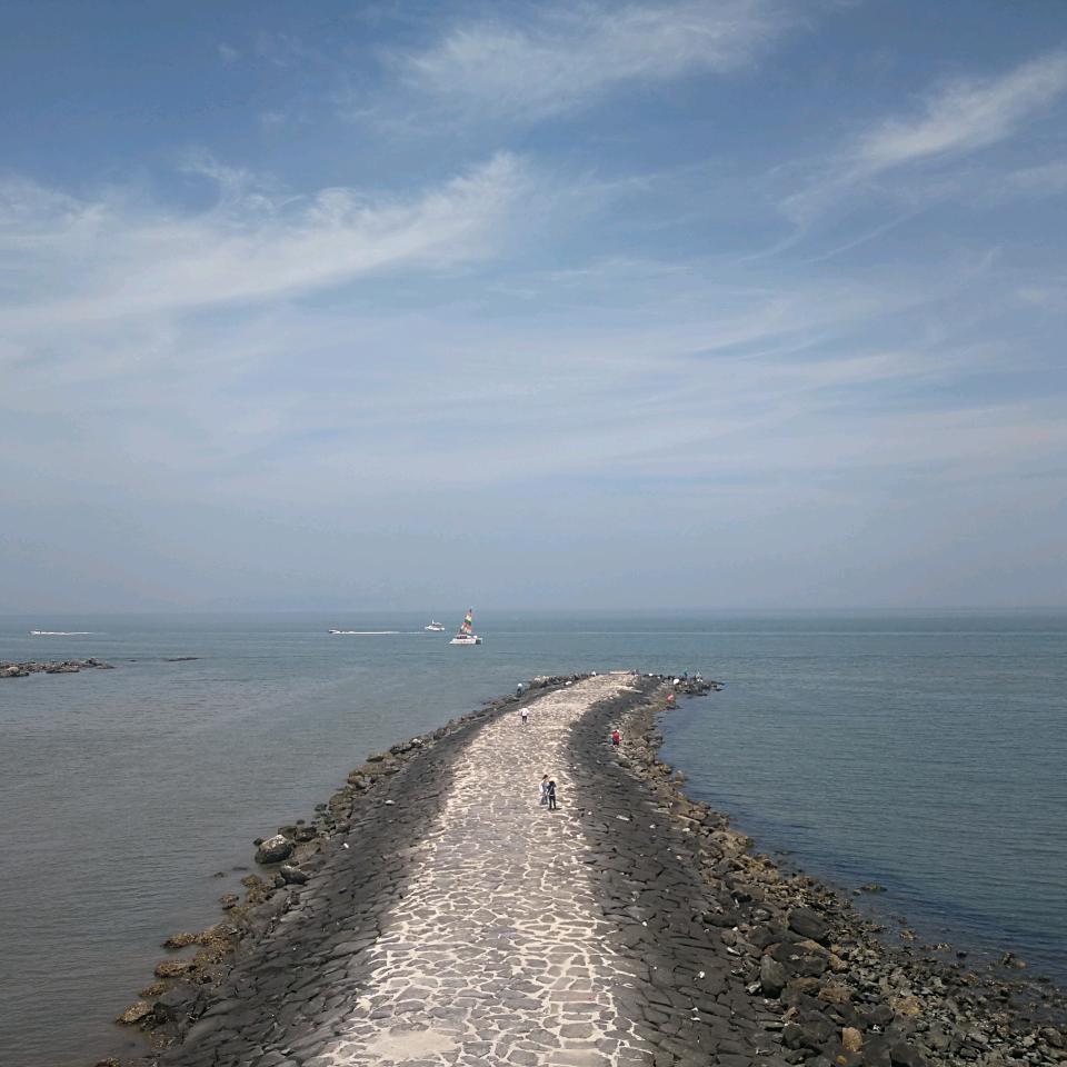 冰红茶