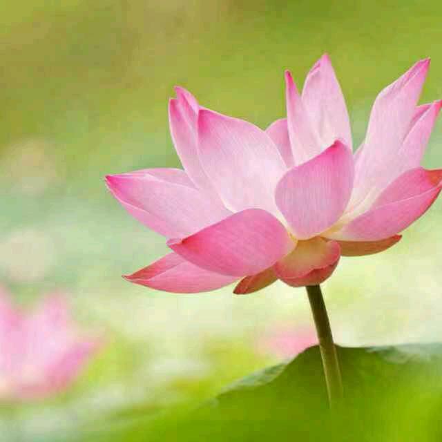 ：开心快乐每一天