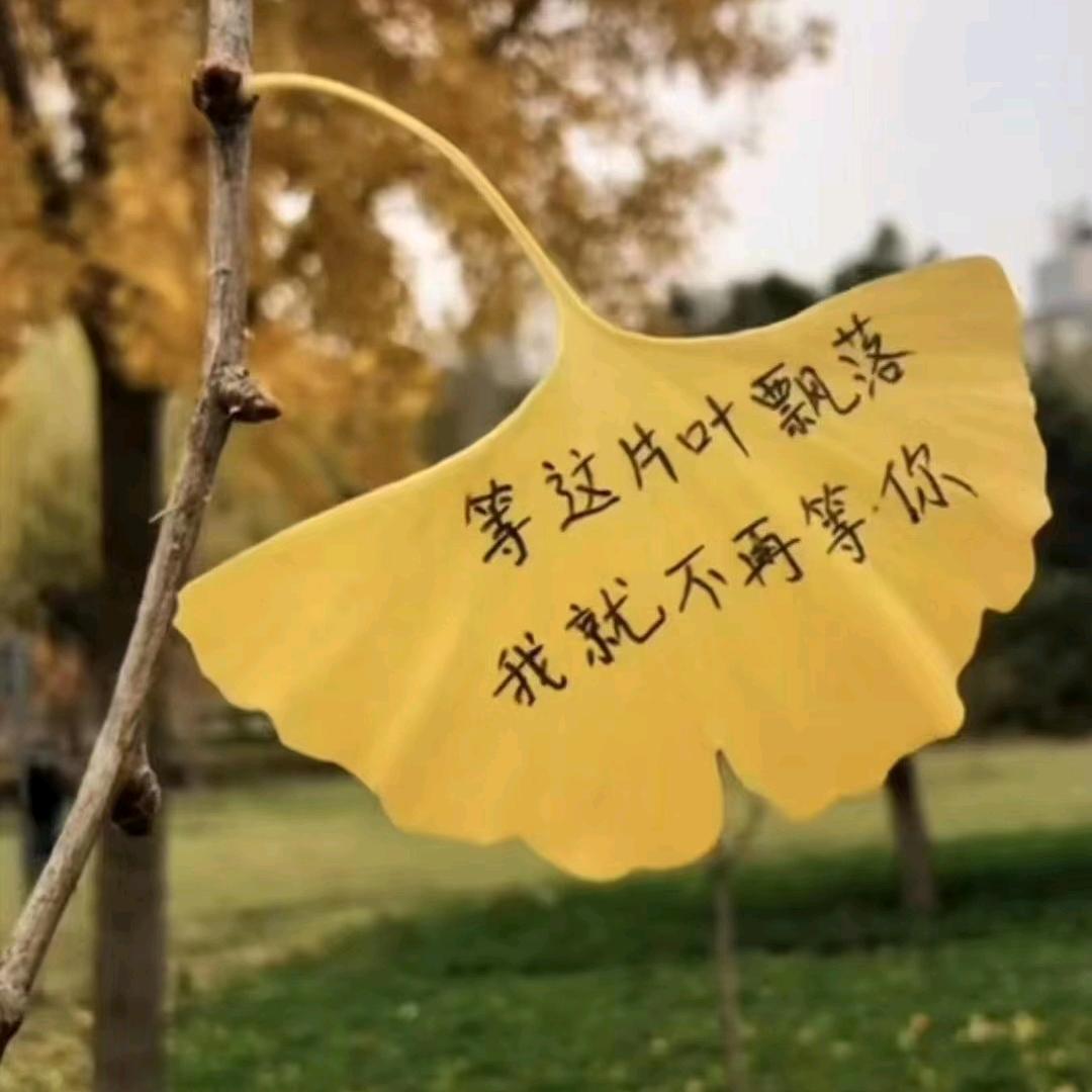 婷婷姐