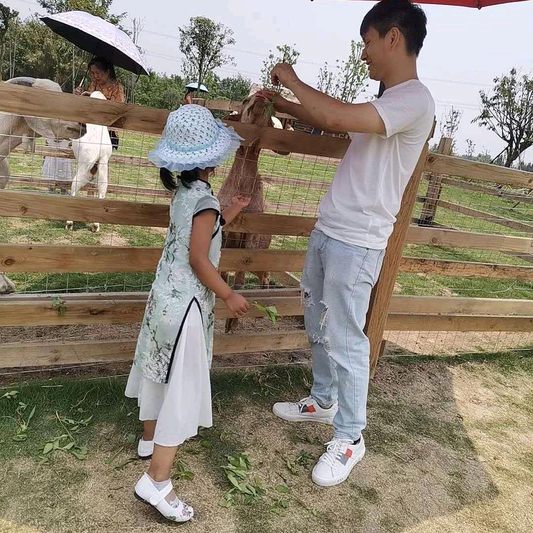 王红