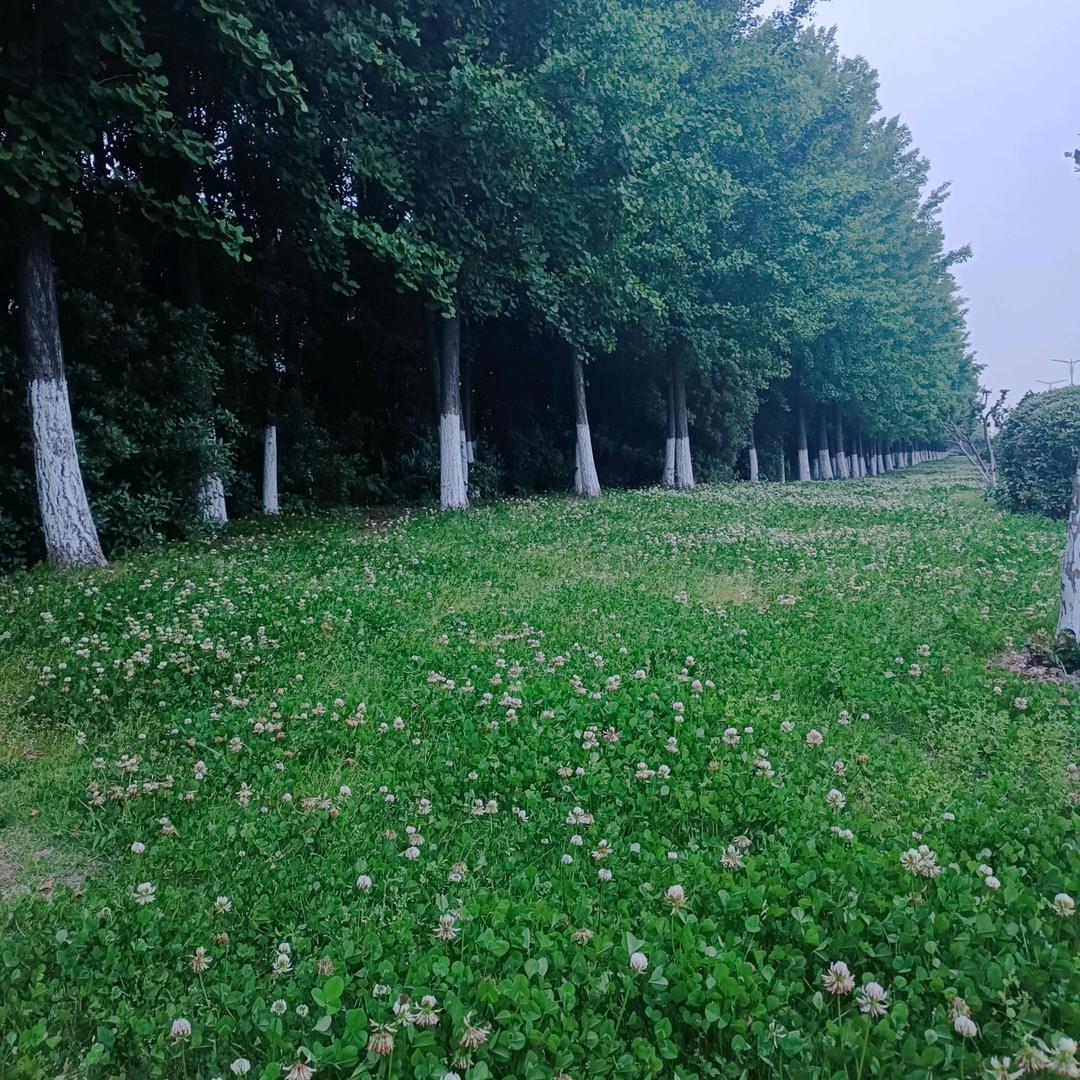 依然在路上