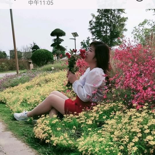 追萌