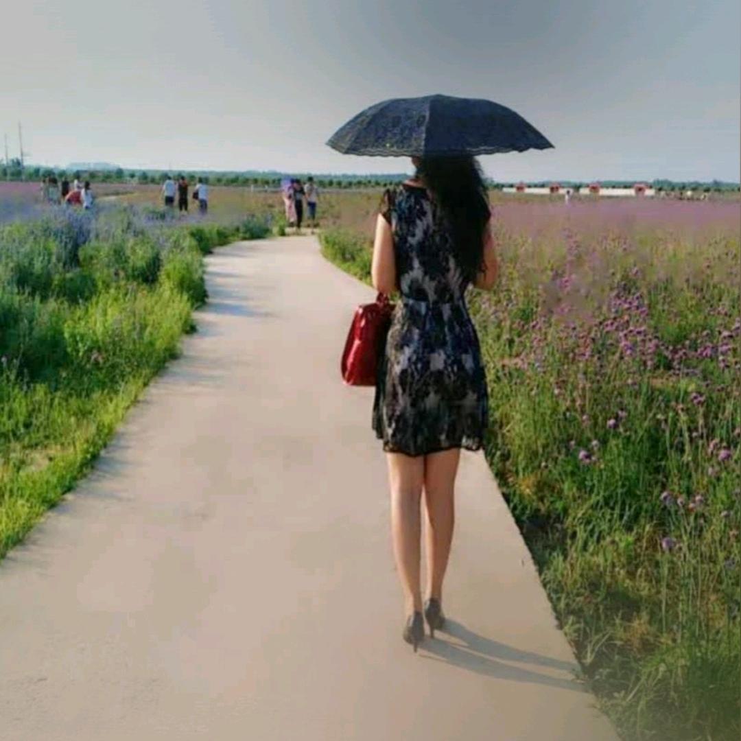 稳稳的幸福