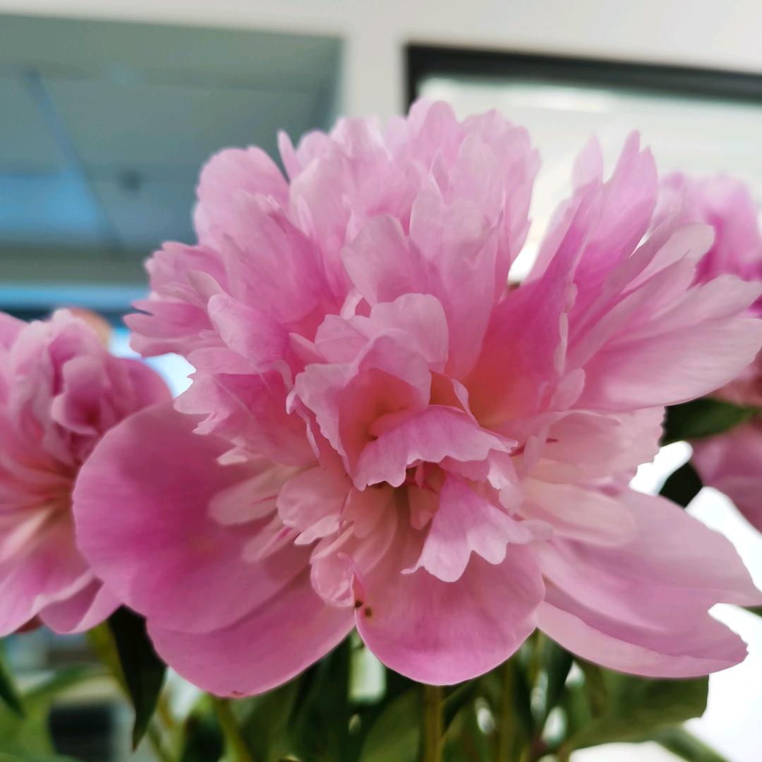 熙熙攘攘宁静致远