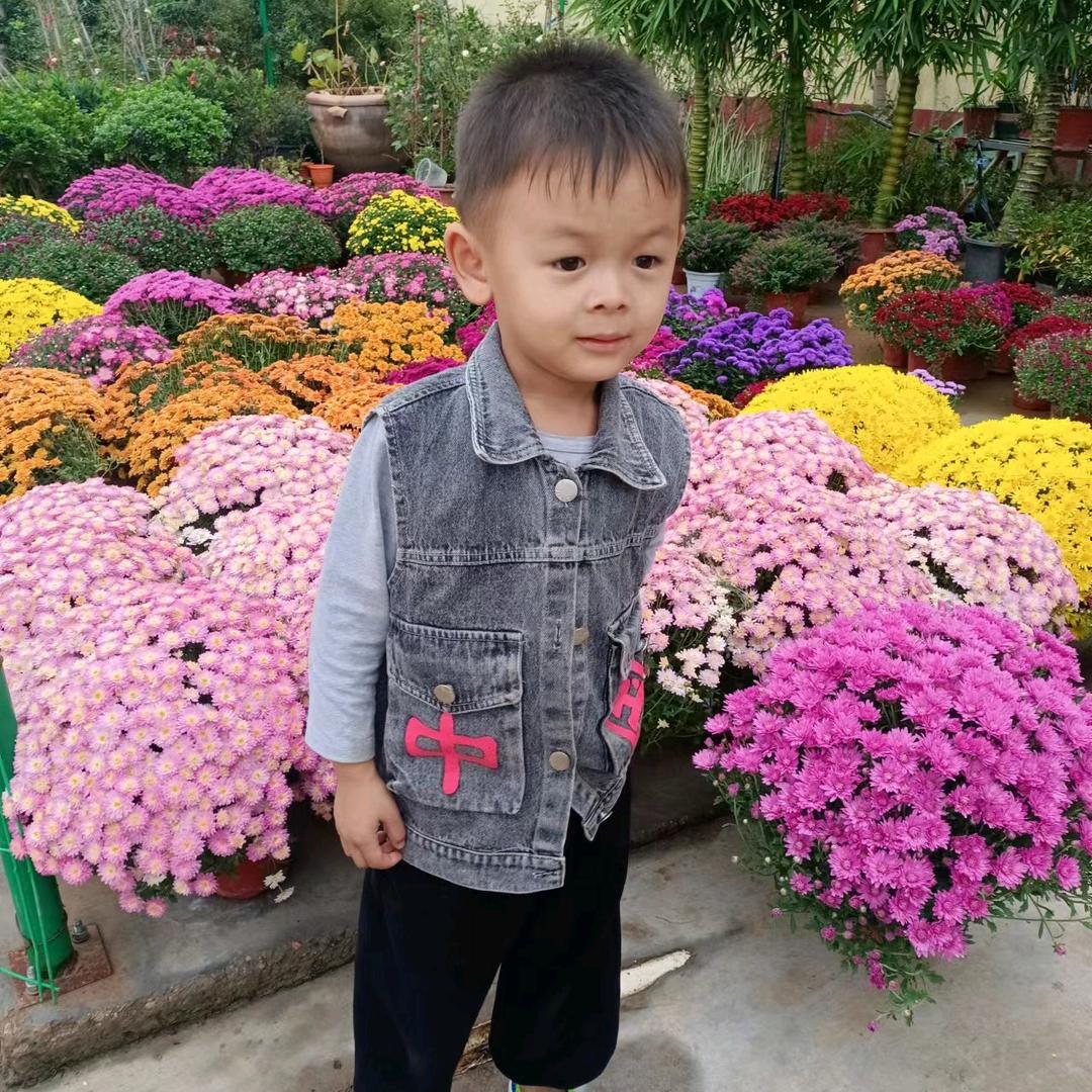 持续学习