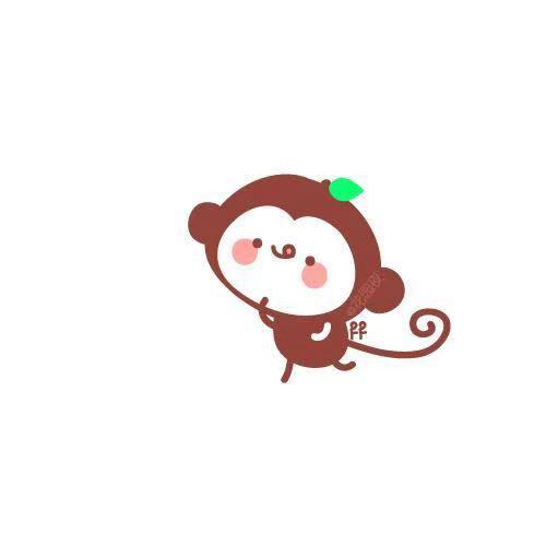一条会飞的鱼