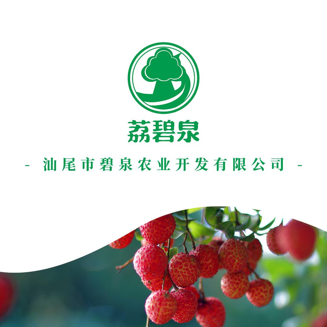 农民江~汕尾凤山红灯笼荔枝