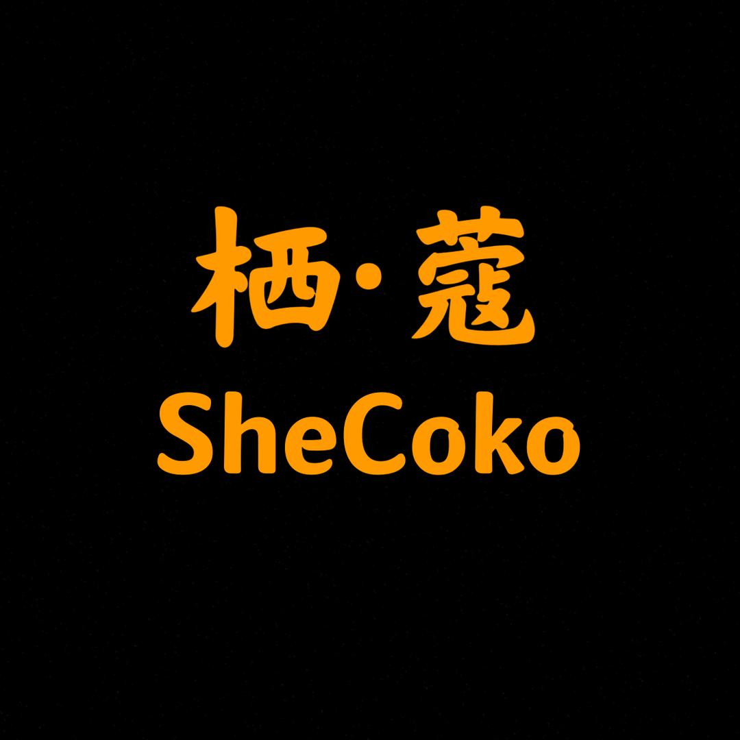 栖蔻•Shecoko高端女鞋