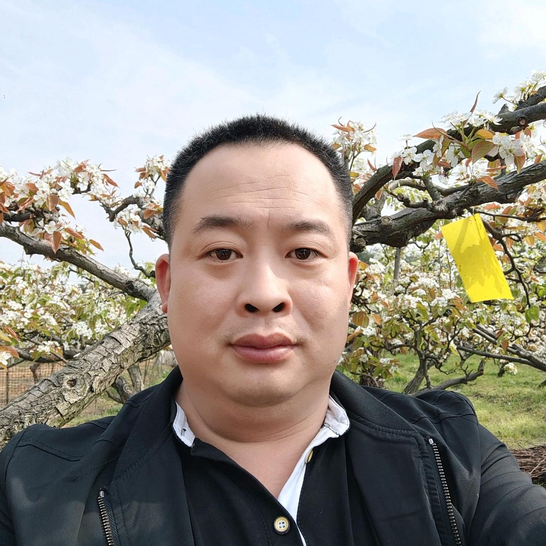 痴恋的滋味