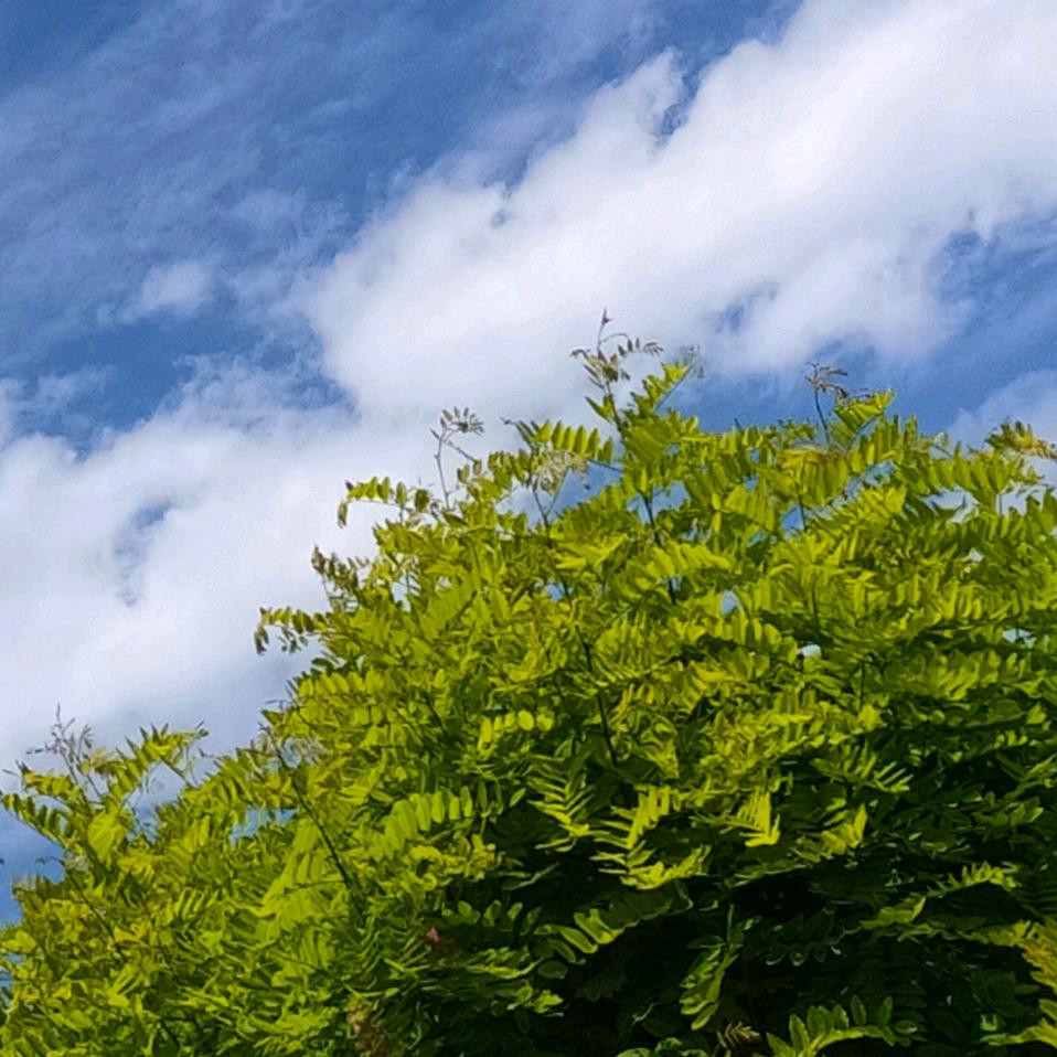 你好，旧时光。
