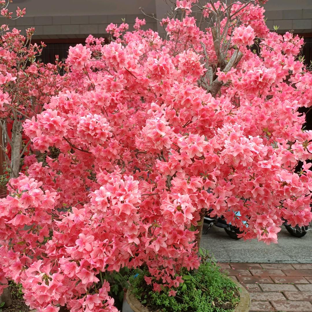 风雨过后有彩虹