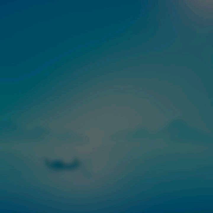幸运四叶草
