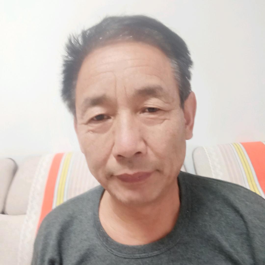 老刘养犬