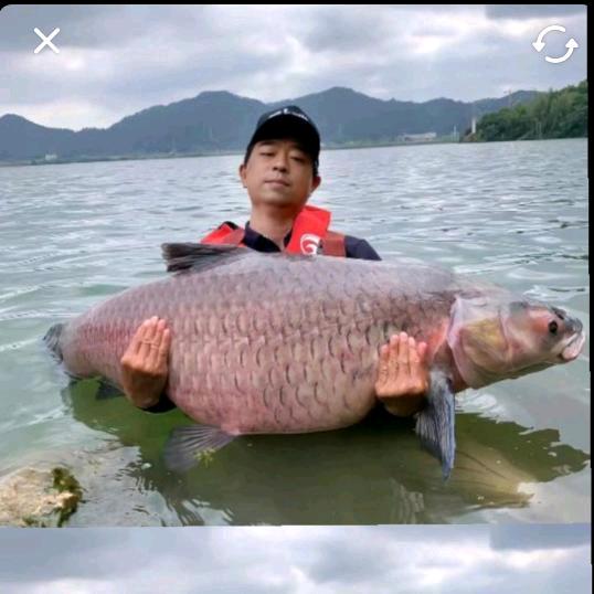 朱庆华钓小鱼᭄゛ঞ