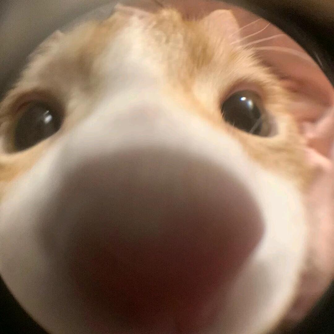 梦煜