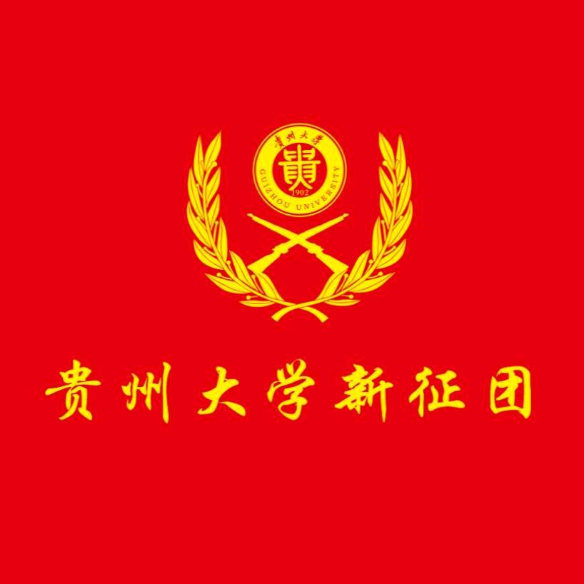 新征团小新