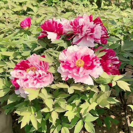 用不一样的眼光看世界