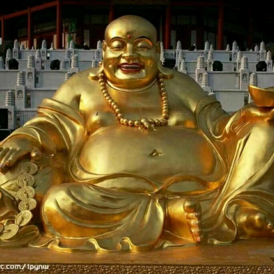 老耿
