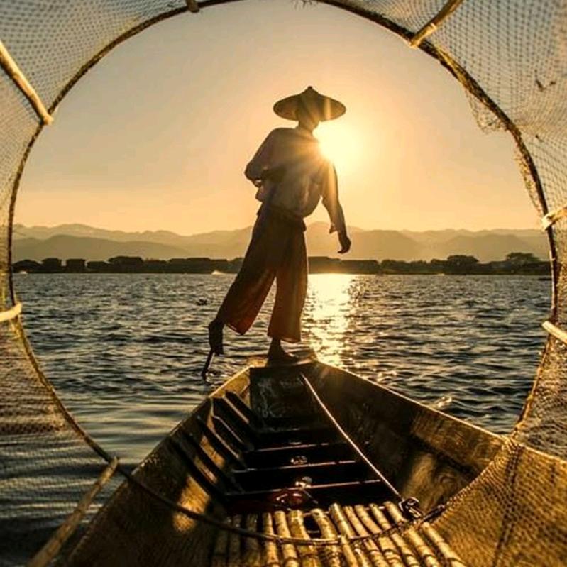 微山湖雨哲生鲜