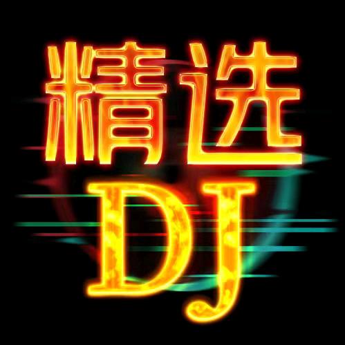 精选DJ榜单（车载优盘）