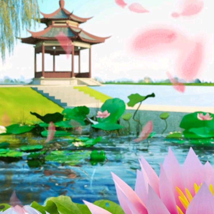 盼望幸福